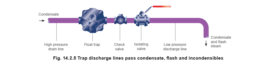 Aprenda sobre vapor