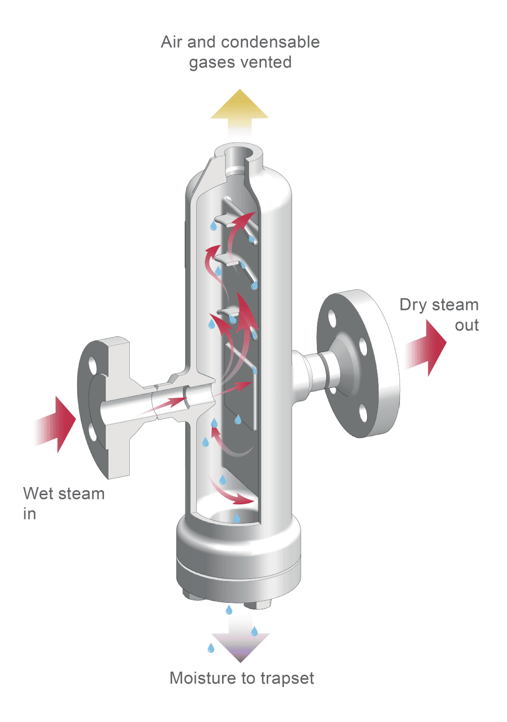 Steam separator