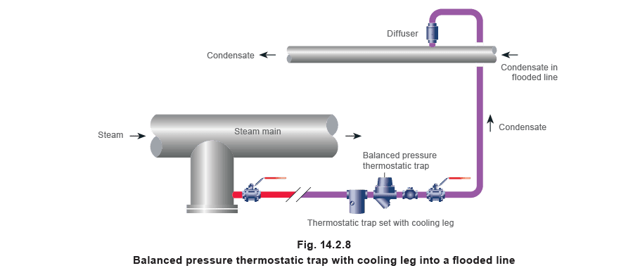 Aprenda sobre vapor